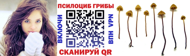 Купить где  Вичуга  Псилоцибиновые грибы MAGIC MUSHROOMS 